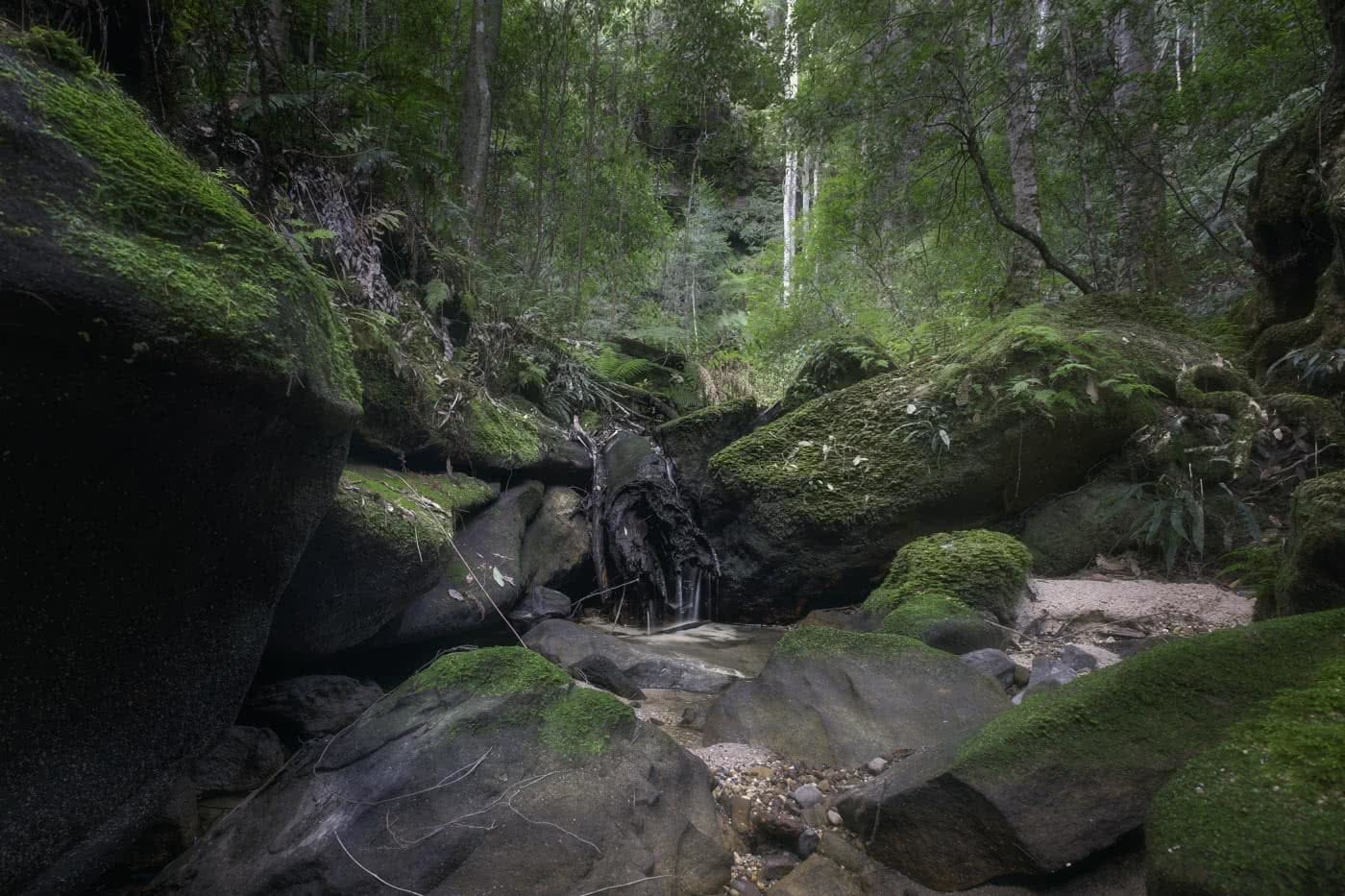 Water Nymphs Dell // Wentworth Falls, Blue Mountains (NSW), brandon chant, allover downunder, blue mountains, moss, waterfall, quiet
