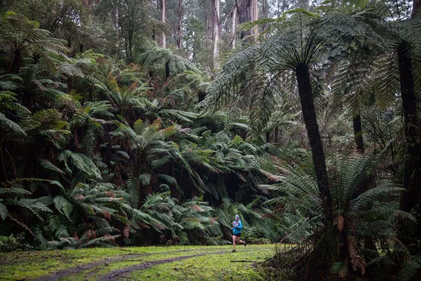 Lessons From A Trail Running Rookie, Simone Mckeown, photographer Chris Ord, runner, rainforest, trail