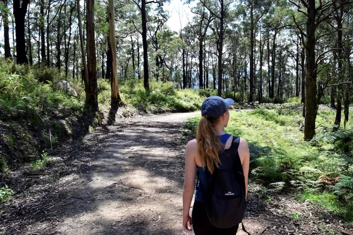 Boulders And Bunyips // Four Brothers Rocks - Bunyip State Park (VIC), Alex Kostas, hiker, track, forest