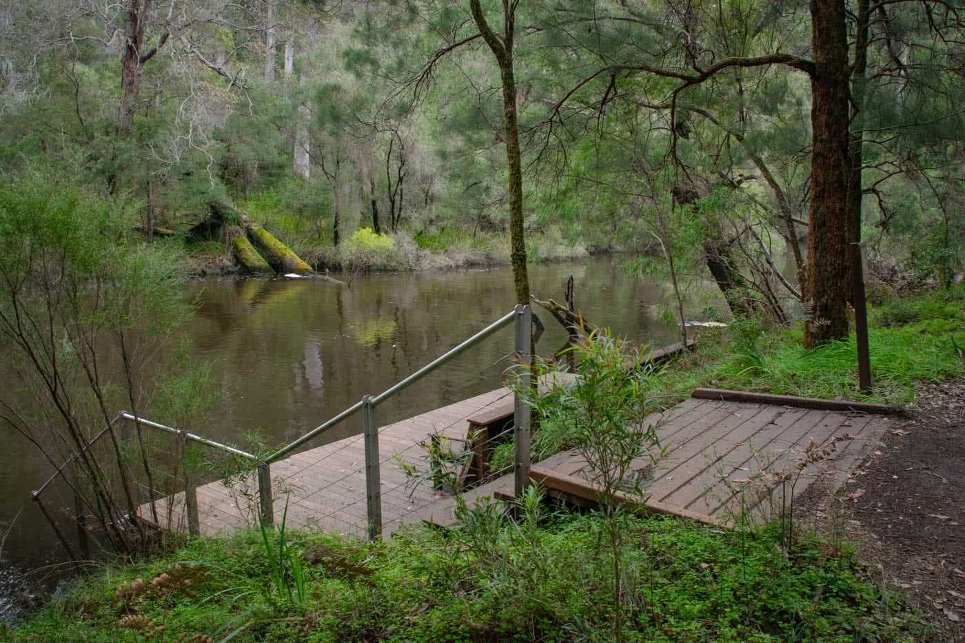 Tree Climbing And Wild Swimming - The Warren River NP // Pemberton (WA), Mark Pybus, jetty, river, steps