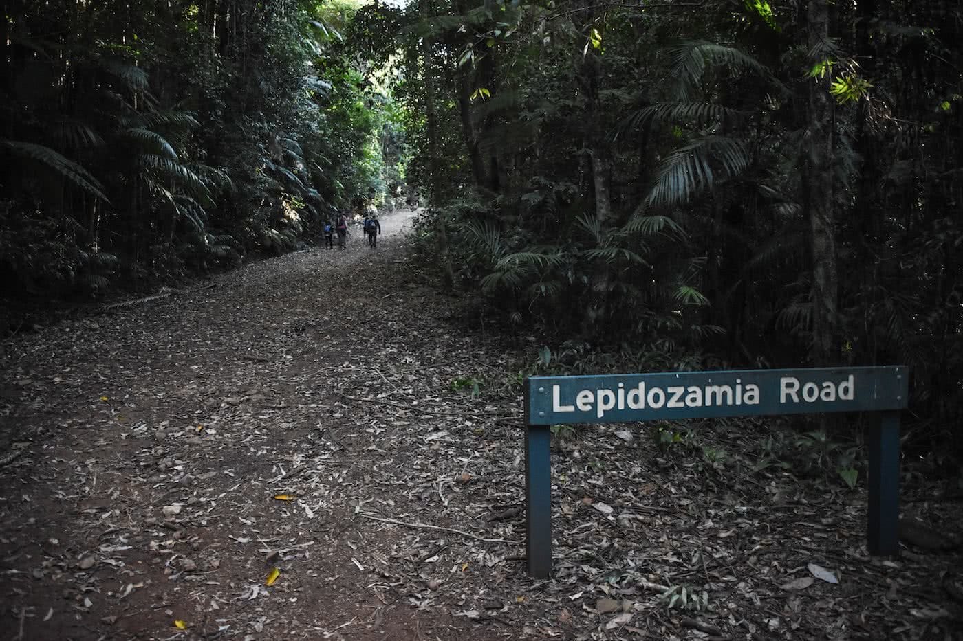 Overnight hikes near Brisbane, A sign on a street near a forest