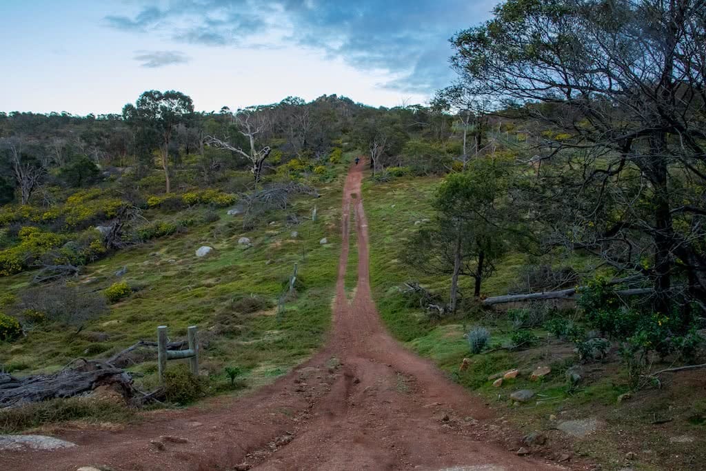 The Beauty Of An Early Morning Run, Michelle Linnane, trail running month, victoria, vibe