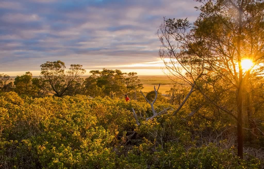 The Beauty Of An Early Morning Run, Michelle Linnane, trail running month, victoria, vibe, sunrise