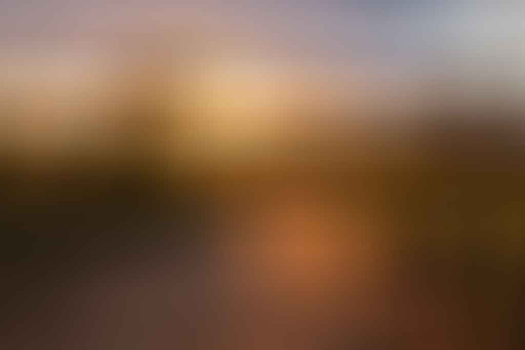 The Beauty Of An Early Morning Run, Michelle Linnane, trail running month, victoria, vibe, sunrise