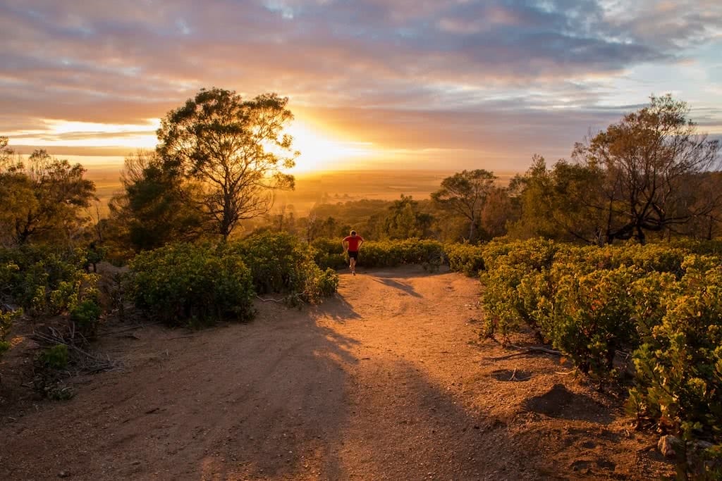 The Beauty Of An Early Morning Run, Michelle Linnane, trail running month, victoria, vibe, sunrise