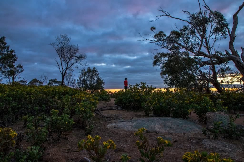 The Beauty Of An Early Morning Run, Michelle Linnane, trail running month, victoria, vibe