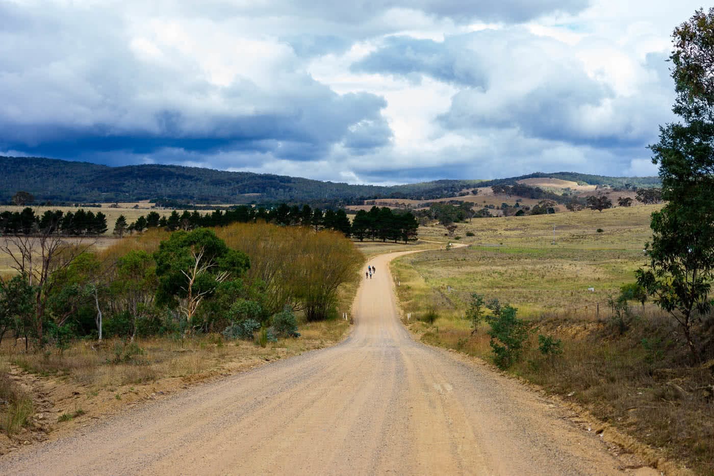 Bikepacking Canberra To Batemans Bay, Matti Gould, dirt road, bikes cycling