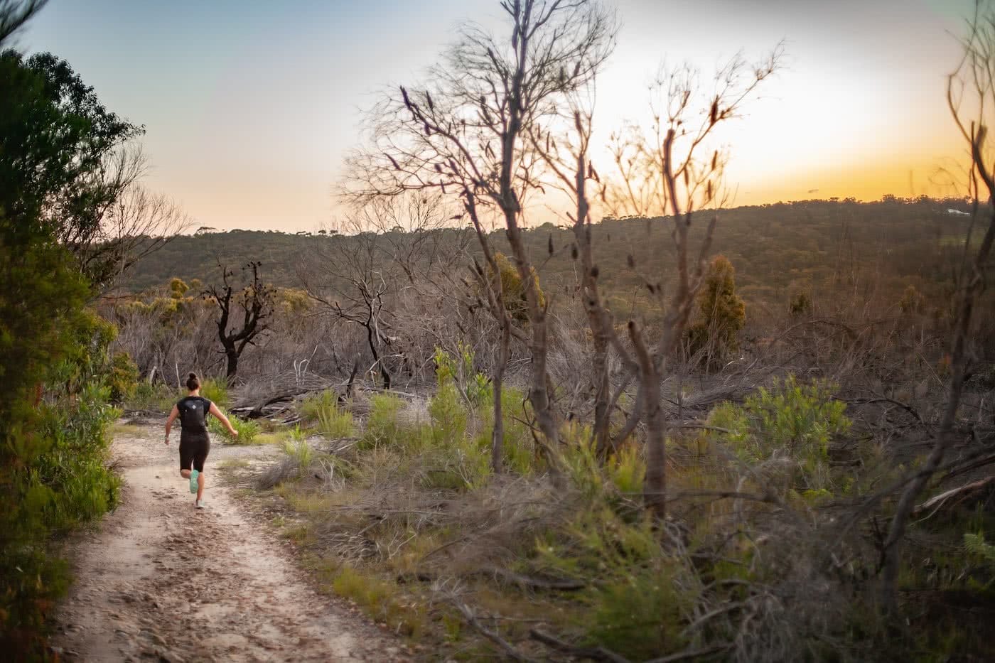 How To Trail Run At Night, photos by Karl Reynolds, black diamond, gear, trail running month, manly dam, nsw