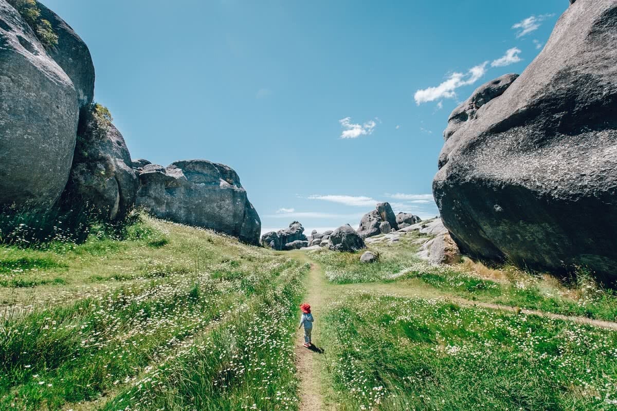 Boy at Castle Hill New Zealand Henry Brydon