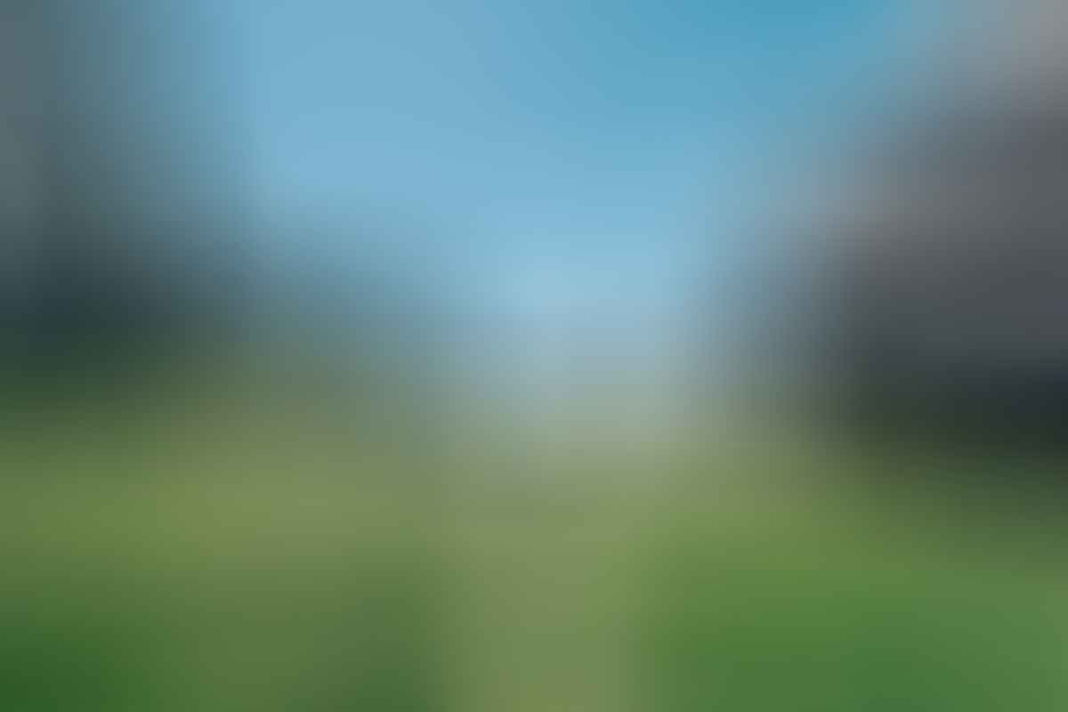 Boy at Castle Hill New Zealand Henry Brydon