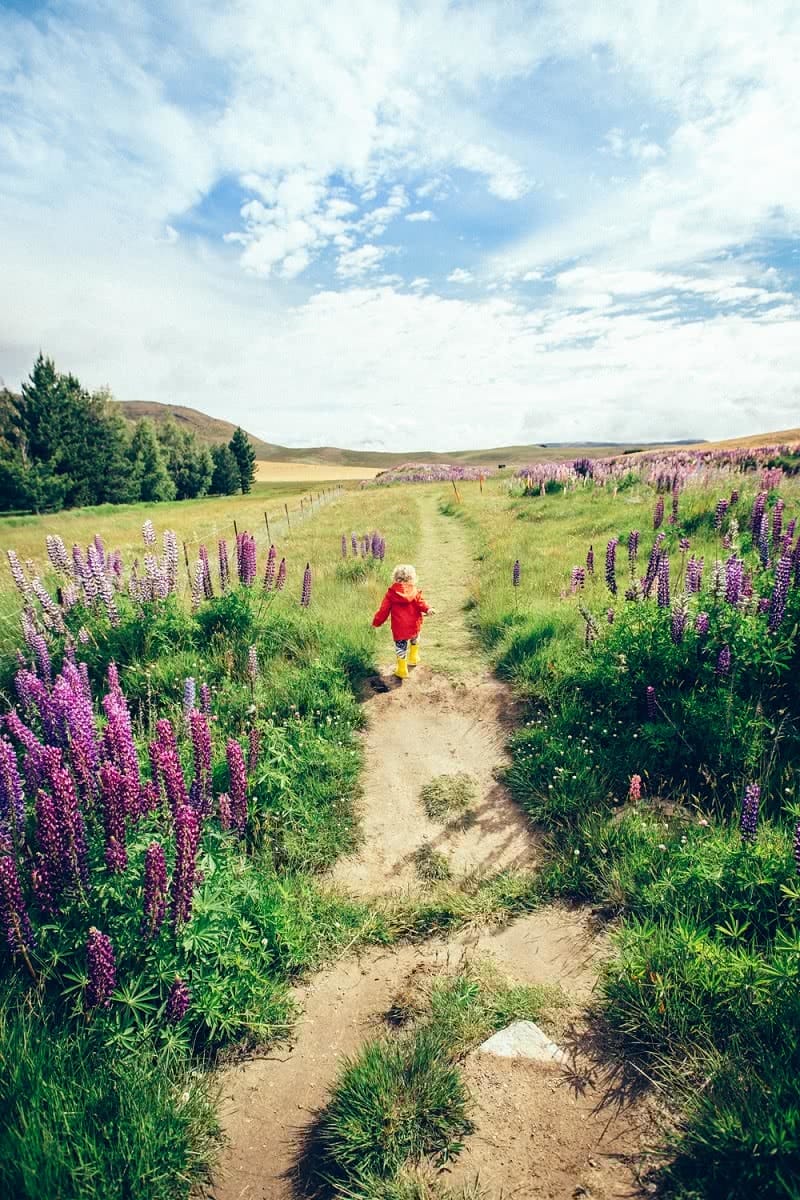 Boy running down the Lupen Track New Zealand Henry Brydon