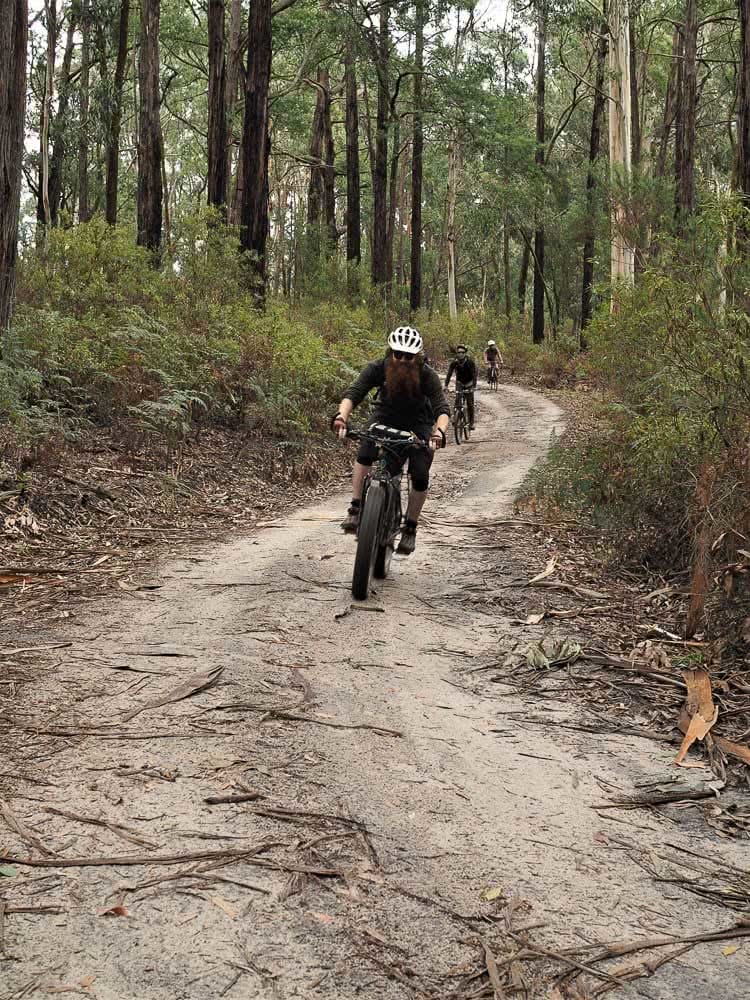 Before It's All Gone // Saving The Threatened Forests Near Melbourne, Photo by Johanna Kekitalo, Riding For The Great Forest, Aidan Kempster, Great Forest National Park, Melbourne, Victoria