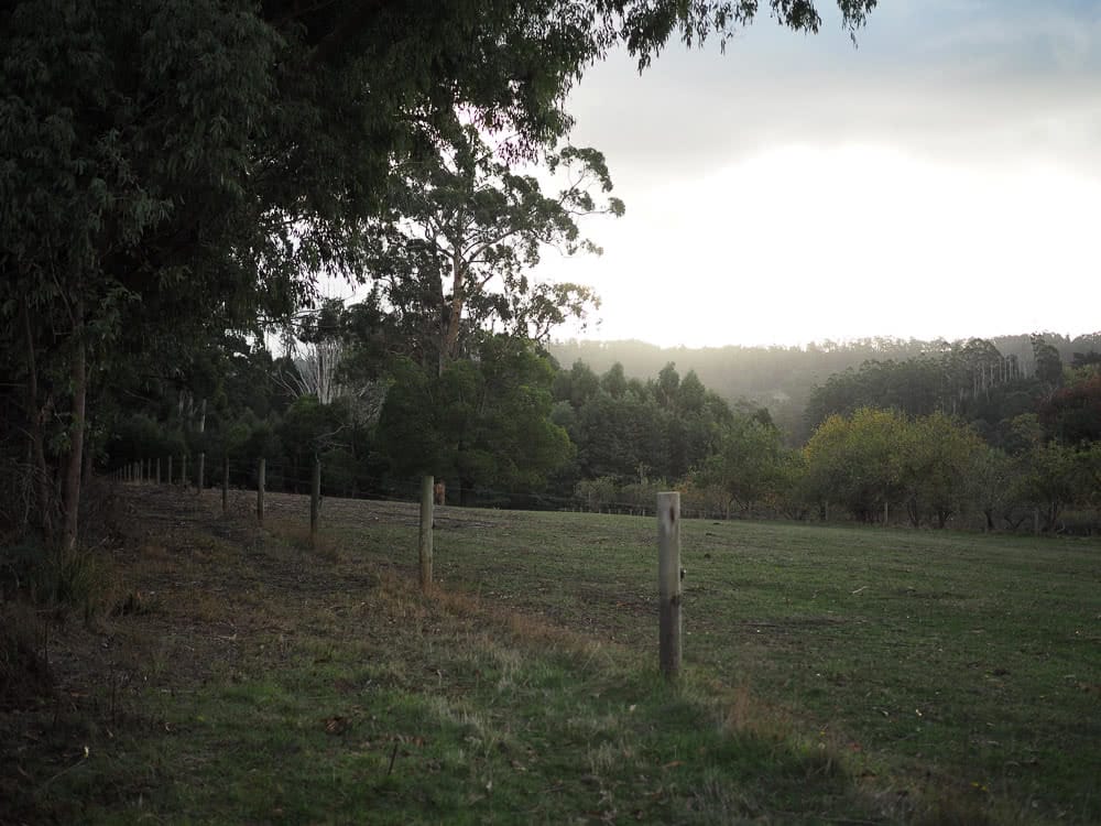 Before It's All Gone // Saving The Threatened Forests Near Melbourne, Photo by Johanna Kekitalo, Riding For The Great Forest, Aidan Kempster, Great Forest National Park, Melbourne, Victoria