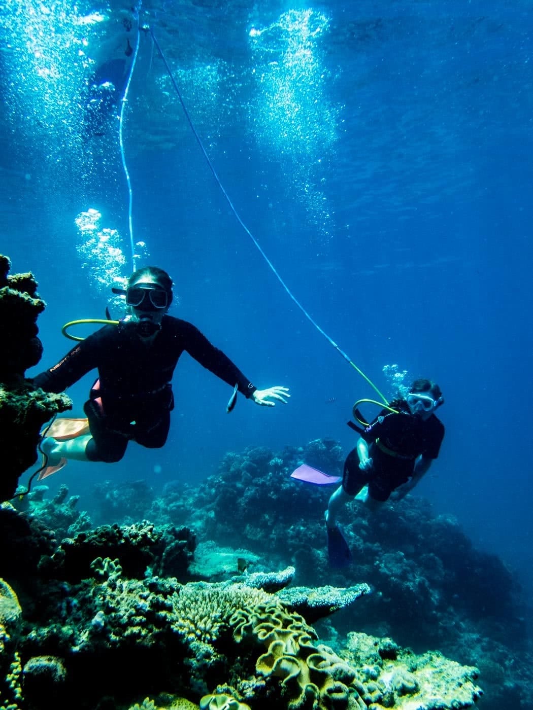 SNUBA Adventure // Great Barrier Reef (QLD) Emily Rowbotham photo by Snuba diving, underwater, coral