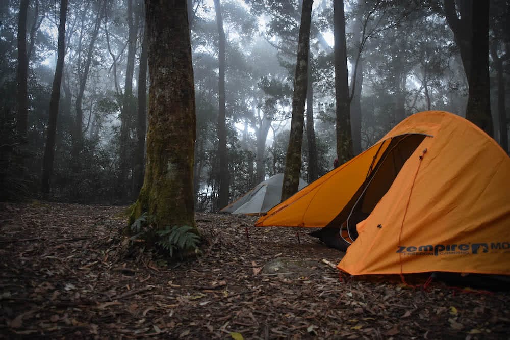 The 21 Best Brisbane Based Outdoor Adventures & Day Trips, Photo by Lisa Owen, camping, adventures, brisbane, outdoors