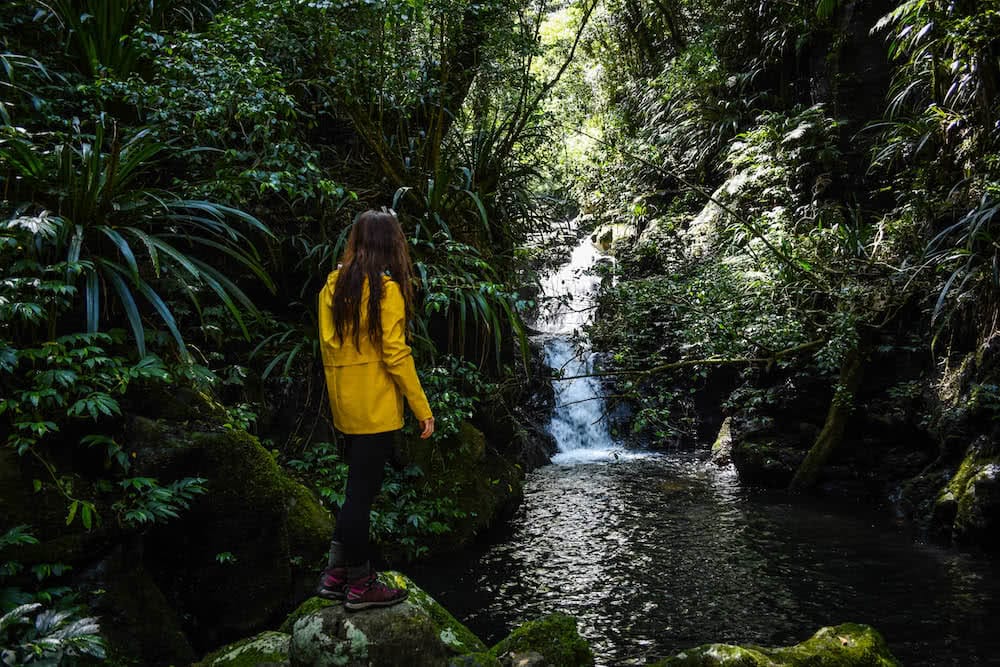 The 21 Best Brisbane Based Outdoor Adventures & Day Trips, Photo by Lisa Owen, rainforest, waterfall, near brisbane, queensland