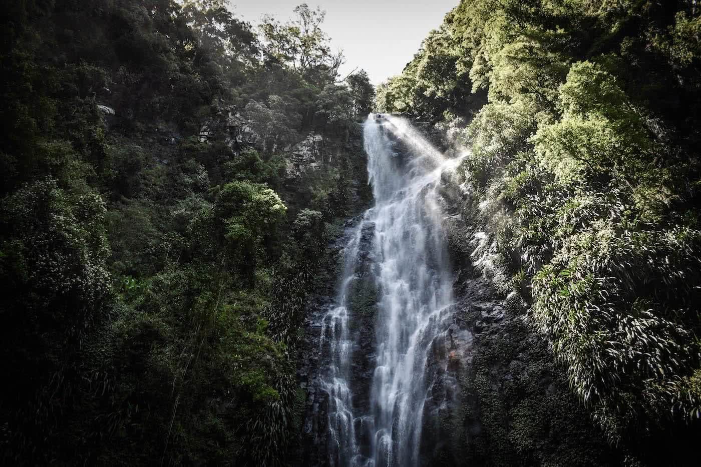 The 21 Best Brisbane Based Outdoor Adventures & Day Trips, Photo by Lisa Owen, larapinta falls, queensland