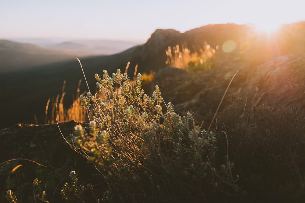 Wild Western Mountains Of NSW // Road Trip, Harrison Candlin, LOWA, Road Trip, Western NSW