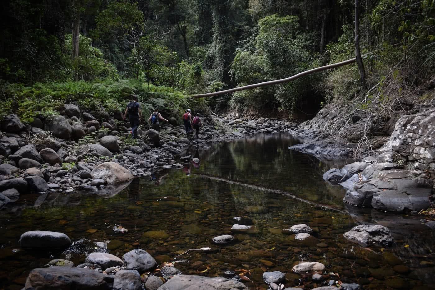 Rockhop to Stairway Falls // Lamington National Park (QLD) Lisa Owen creek, rock hopping, hiker, rainforest
