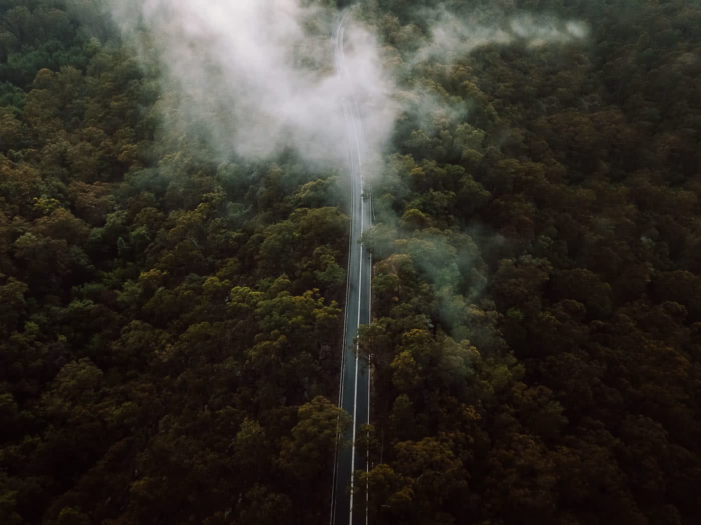 Road, by Nic Morley, Blue Mountains, Hawkesbury