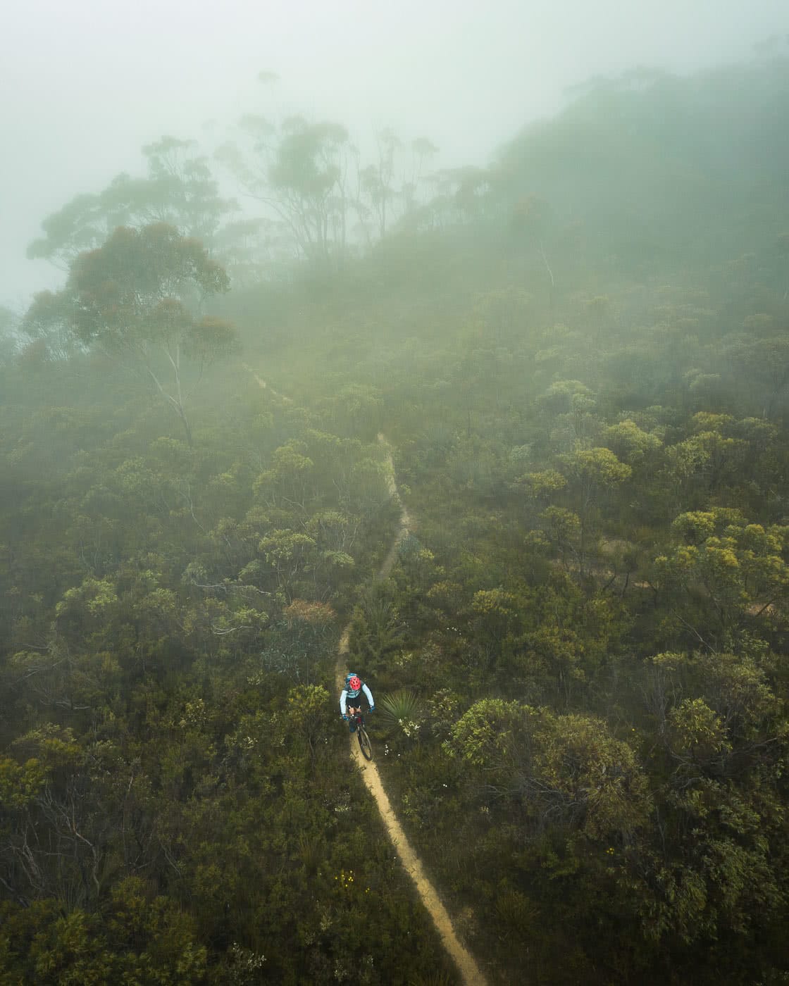 shot by Fin Matson, lower Blue mountains, Destination NSW, Blue Mountains, mountain bike