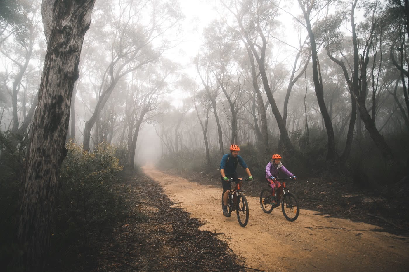 shot by Fin Matson, lower Blue mountains, Destination NSW, Blue Mountains, mountain bike