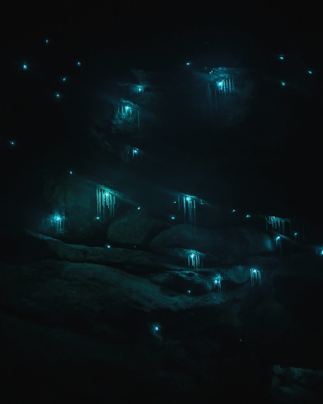 shot by Fin Matson, lower Blue mountains, Destination NSW, Blue Mountains, hawkesbury, gloworms, bilpin
