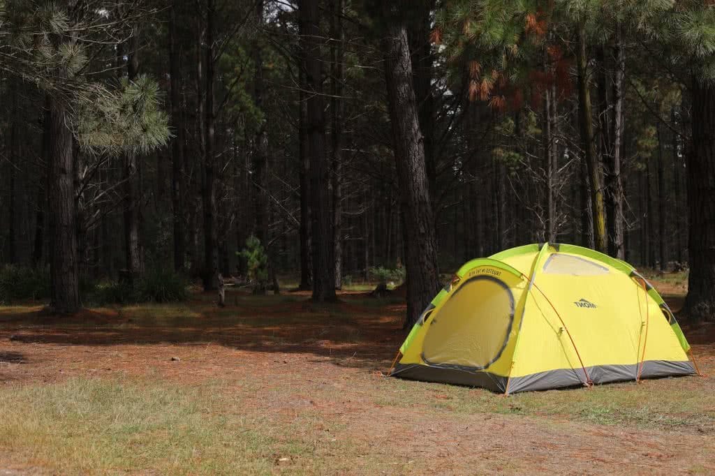 Plain and Simple // Belanglo State Forest (NSW) Nicholas Di Genni photo by @mattiejgould forest, pine trees