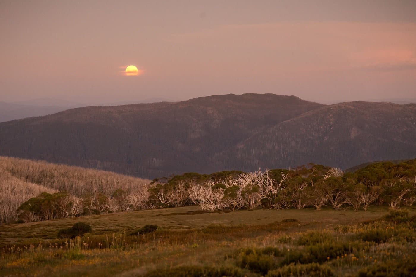 The High Plains on Foot – Four Day Falls Creek Circuit (VIC) Lachlan Fox high plains, moon rise