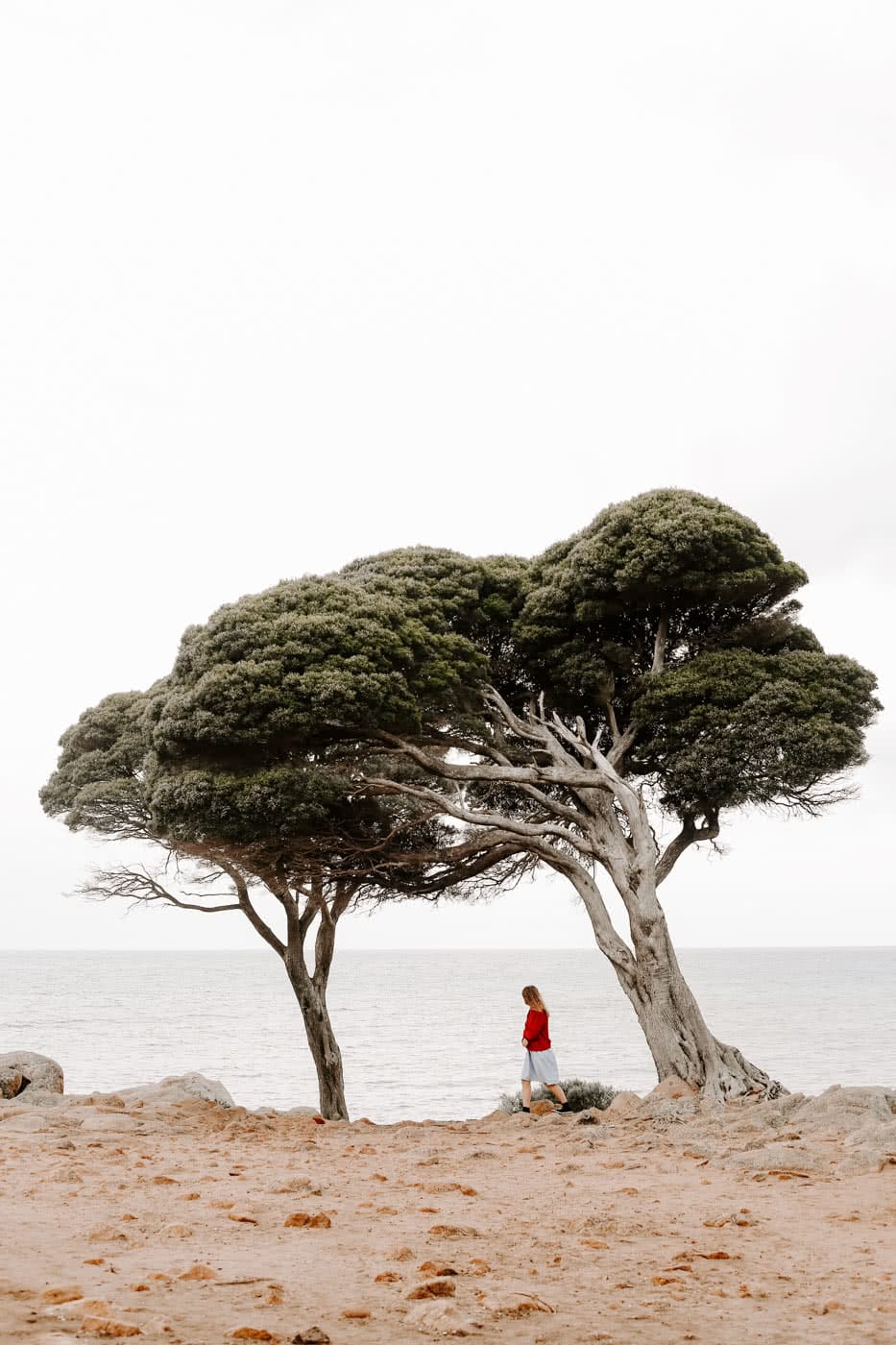 9 Stunning Natural Wonders To Visit In South Western Australia, Bunker Bay, photo by Cedric Tang, south western australia, coast, beach