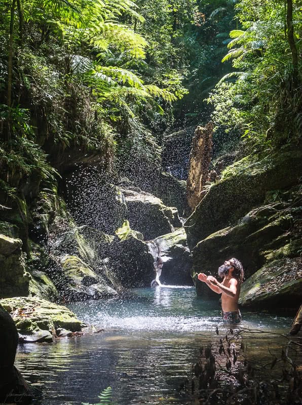 The Great Koala National Park Plans To Link Protected Areas With State Forest To Protect Koalas, Roses Creek State Forest, Photo by Yamin Loraine, wild swimming, pool, sunlight, beard