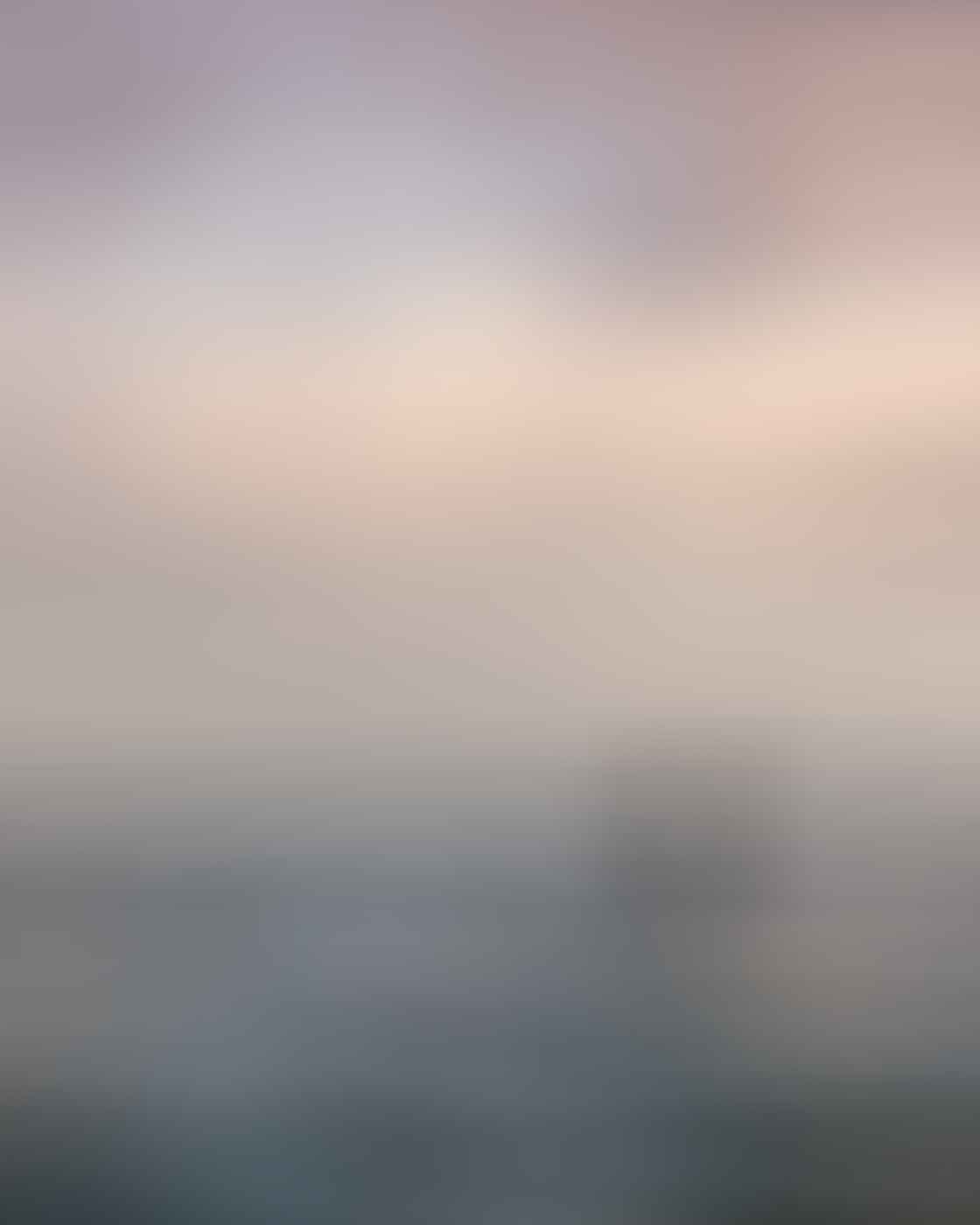 Bondi Sunrise – Early Morning Dispatches From The Break, photo by Matt Pearce, bondi, sunrise, ocean, surf, golden, water photography, dolphin, animal