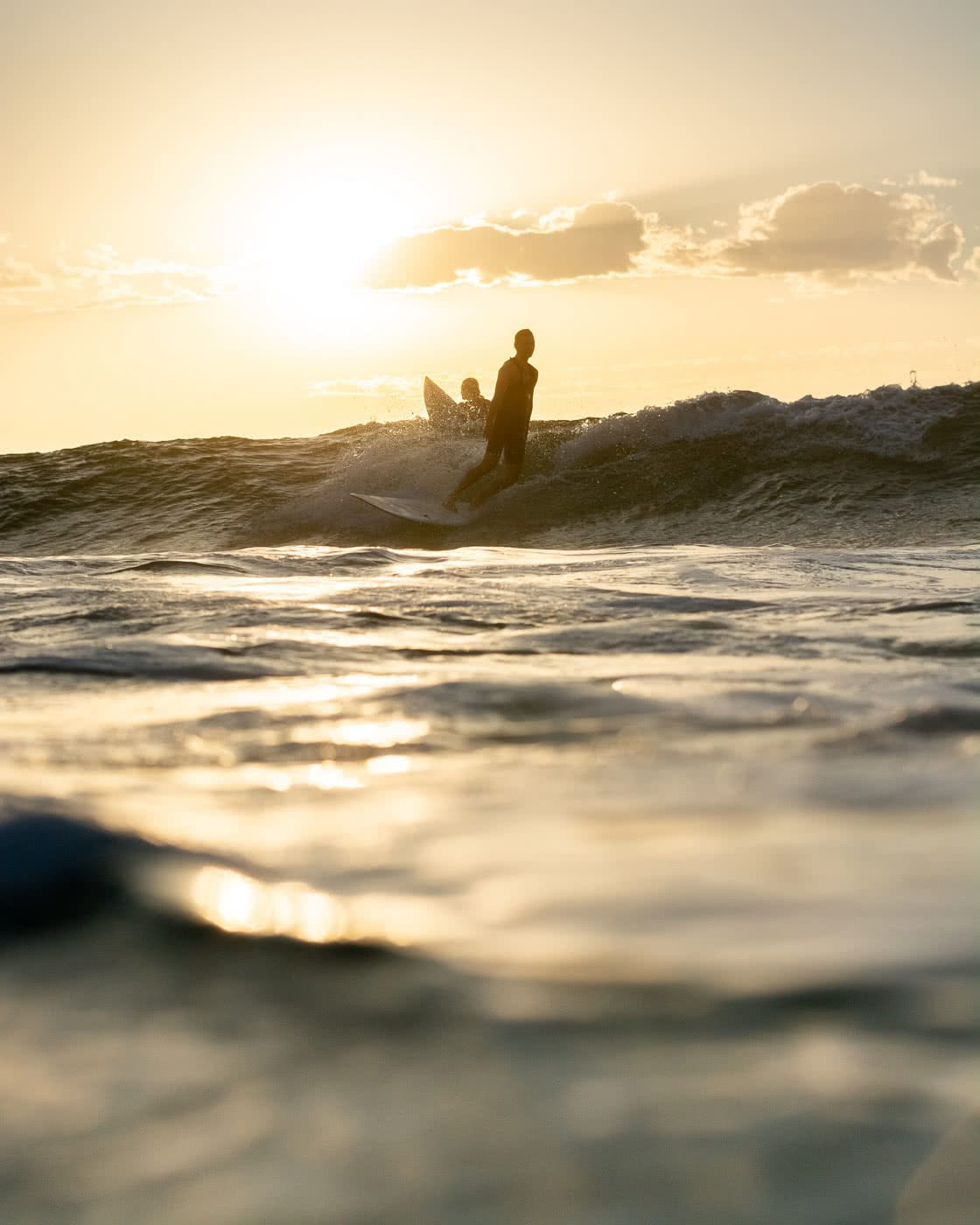 Bondi Sunrise – Early Morning Dispatches From The Break, photo by Matt Pearce, bondi, sunrise, ocean, surf, golden, water photography