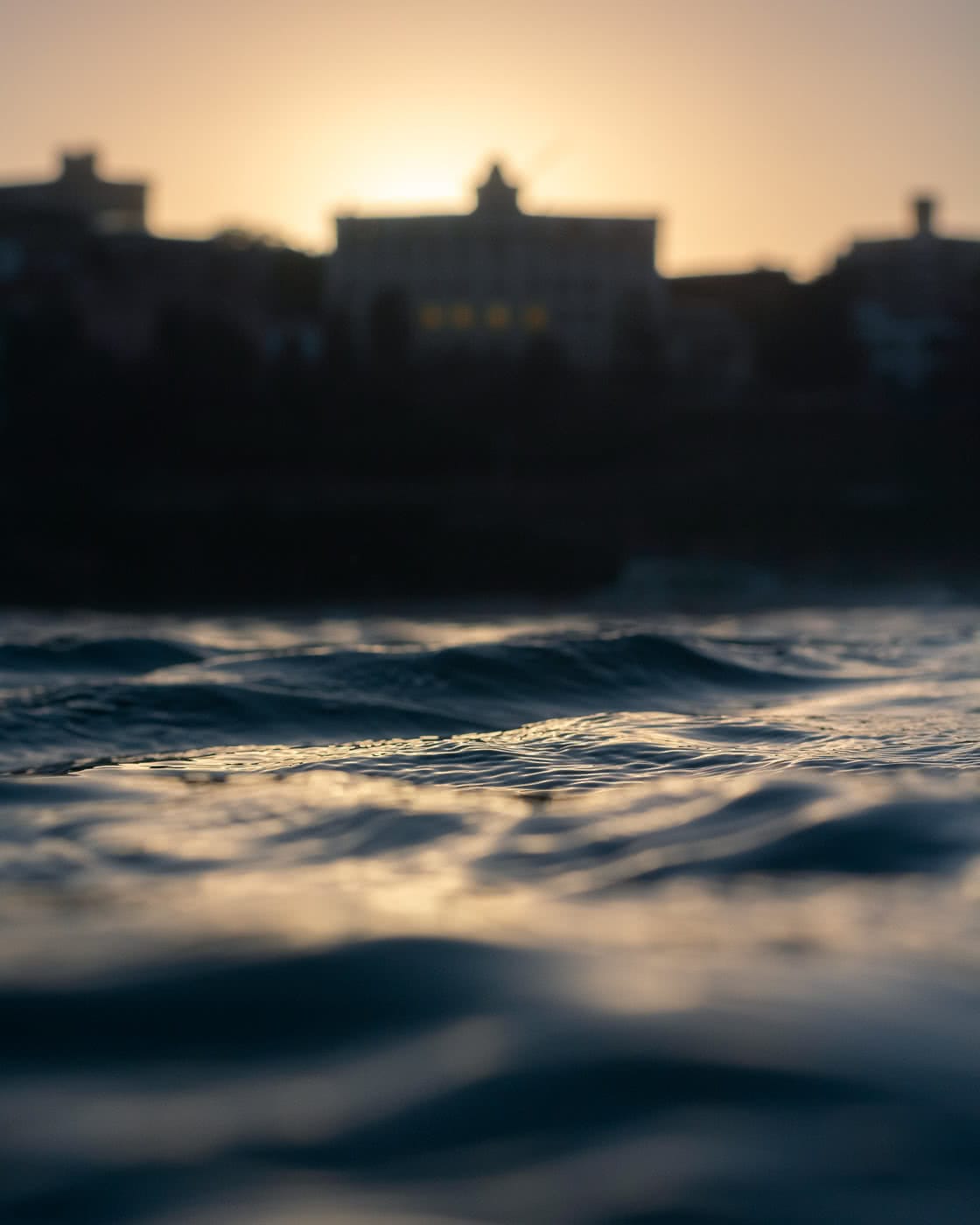 Bondi Sunrise – Early Morning Dispatches From The Break, photo by Matt Pearce, bondi, sunrise, ocean, surf, golden, water photography