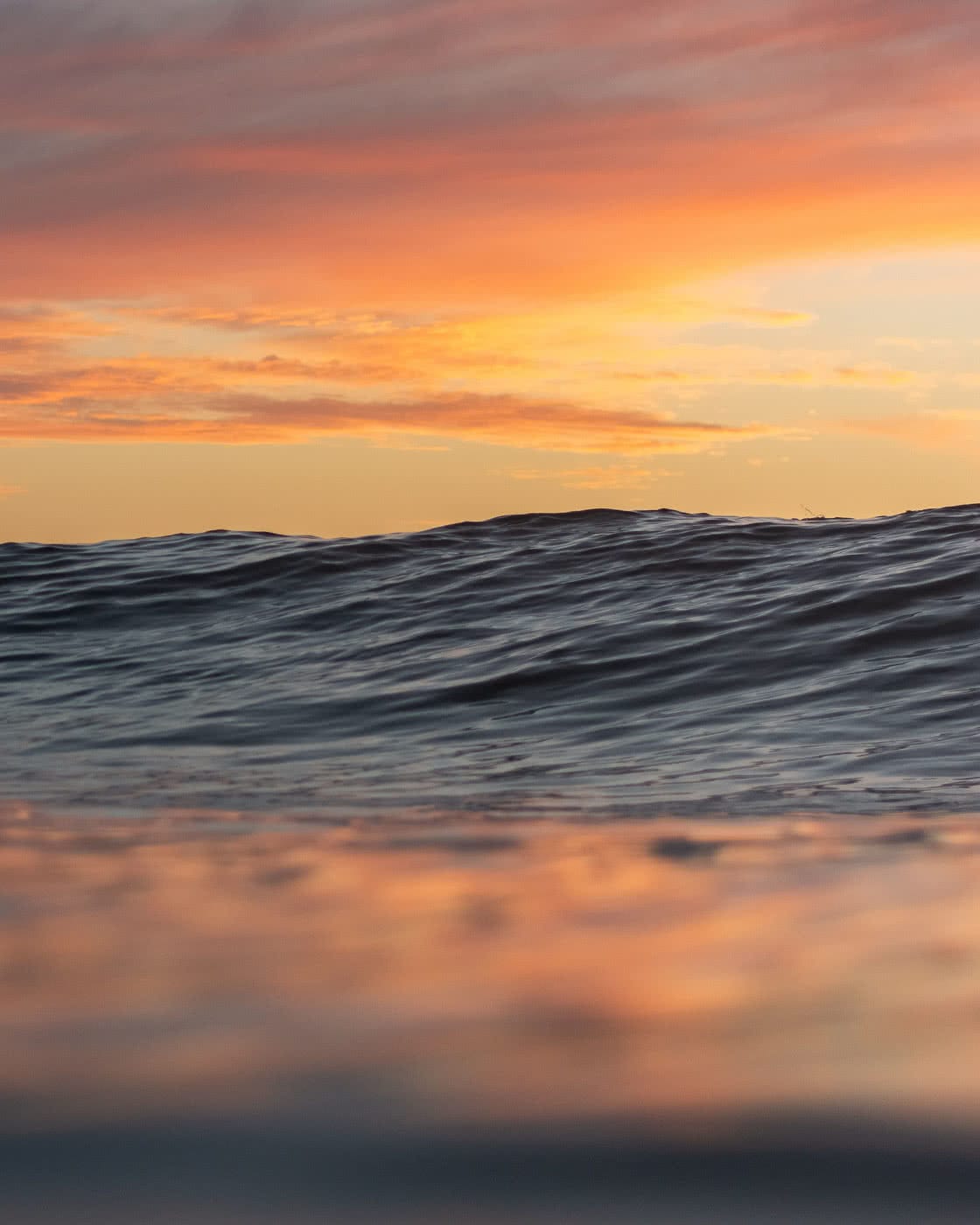 Bondi Sunrise – Early Morning Dispatches From The Break, photo by Matt Pearce, bondi, sunrise, ocean, surf, golden, water photography
