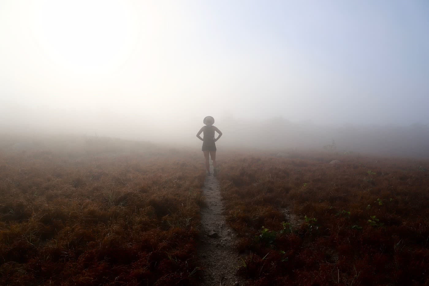 Paradise, Lost :: Lizard Island (QLD) Solaye Snider mist, trekking