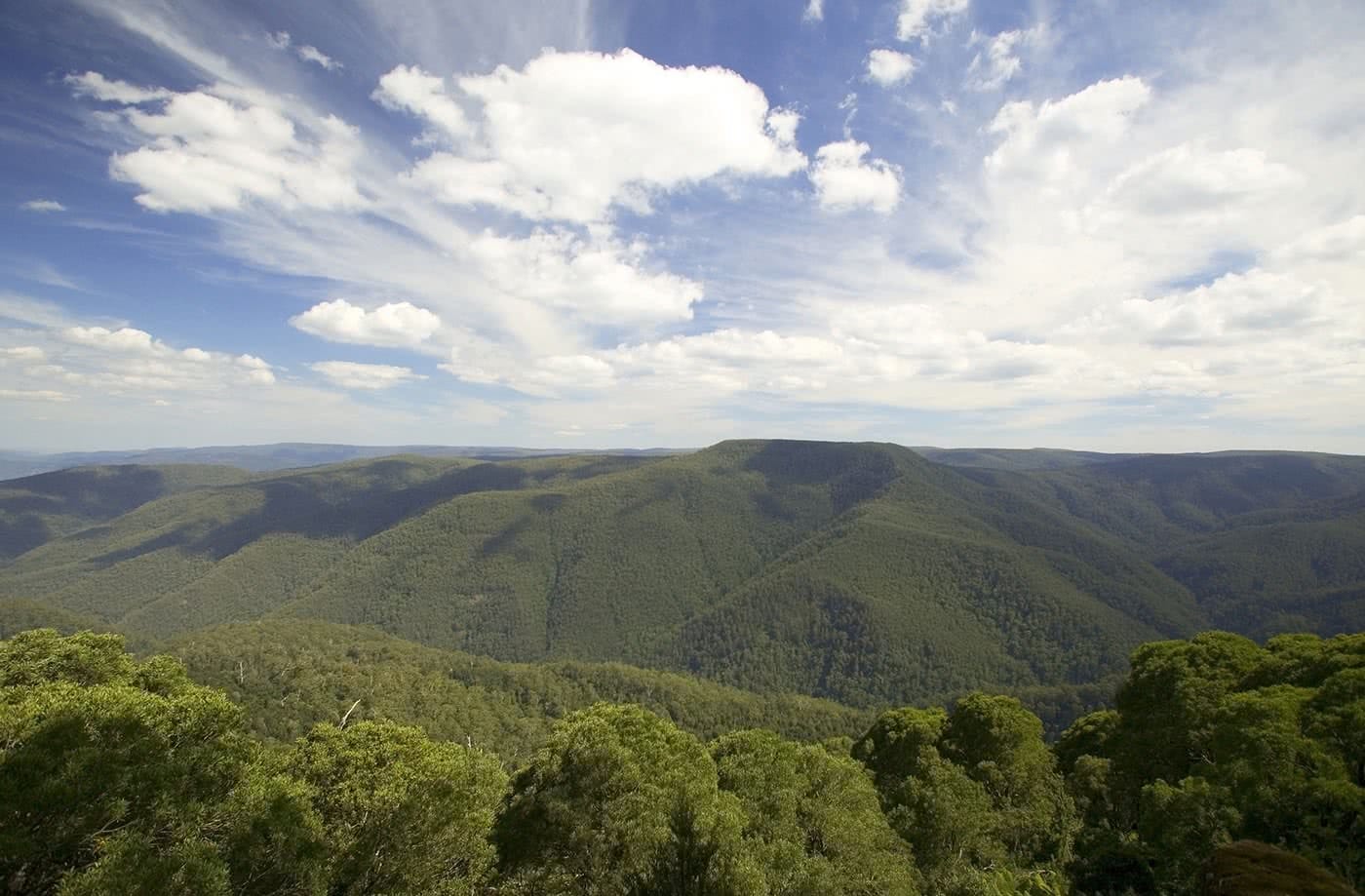 10 Microadventures You Can Do In Dungog, Thunderbolts Lookout, Barrington Tops NP, photo by Destination NSW