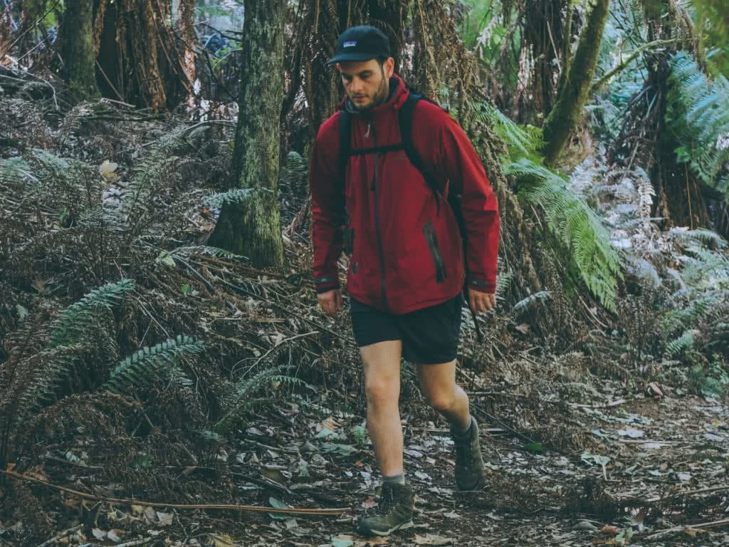 tnf hedgehog hike ii gtx