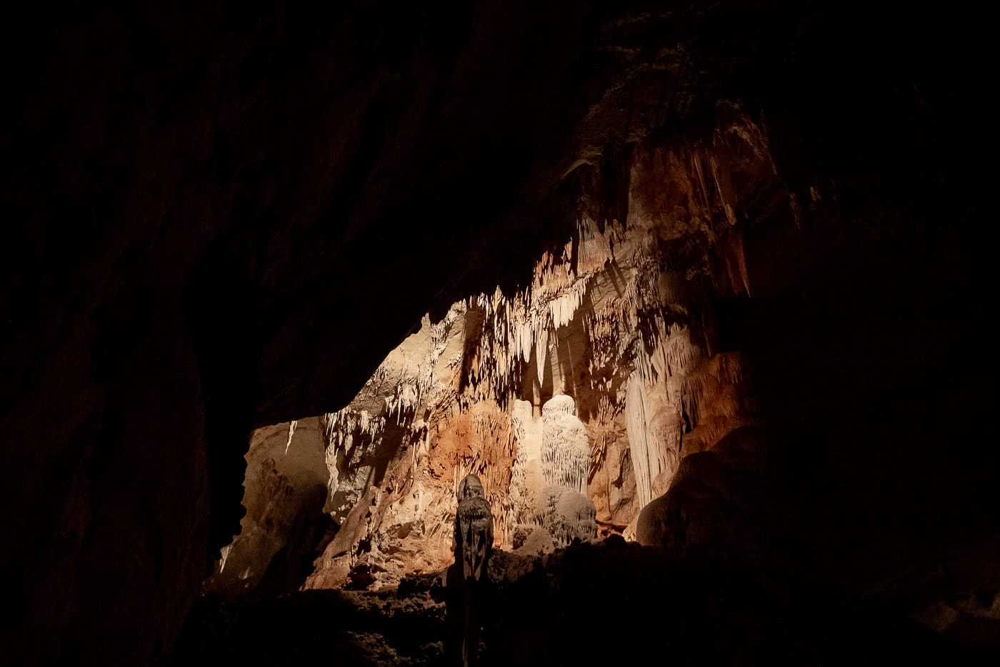 Exploring Wombeyan Caves // A Spelunkin’ Marbleous Weekend (NSW), photo by Tim Ashelford, fig tree cave, nsw