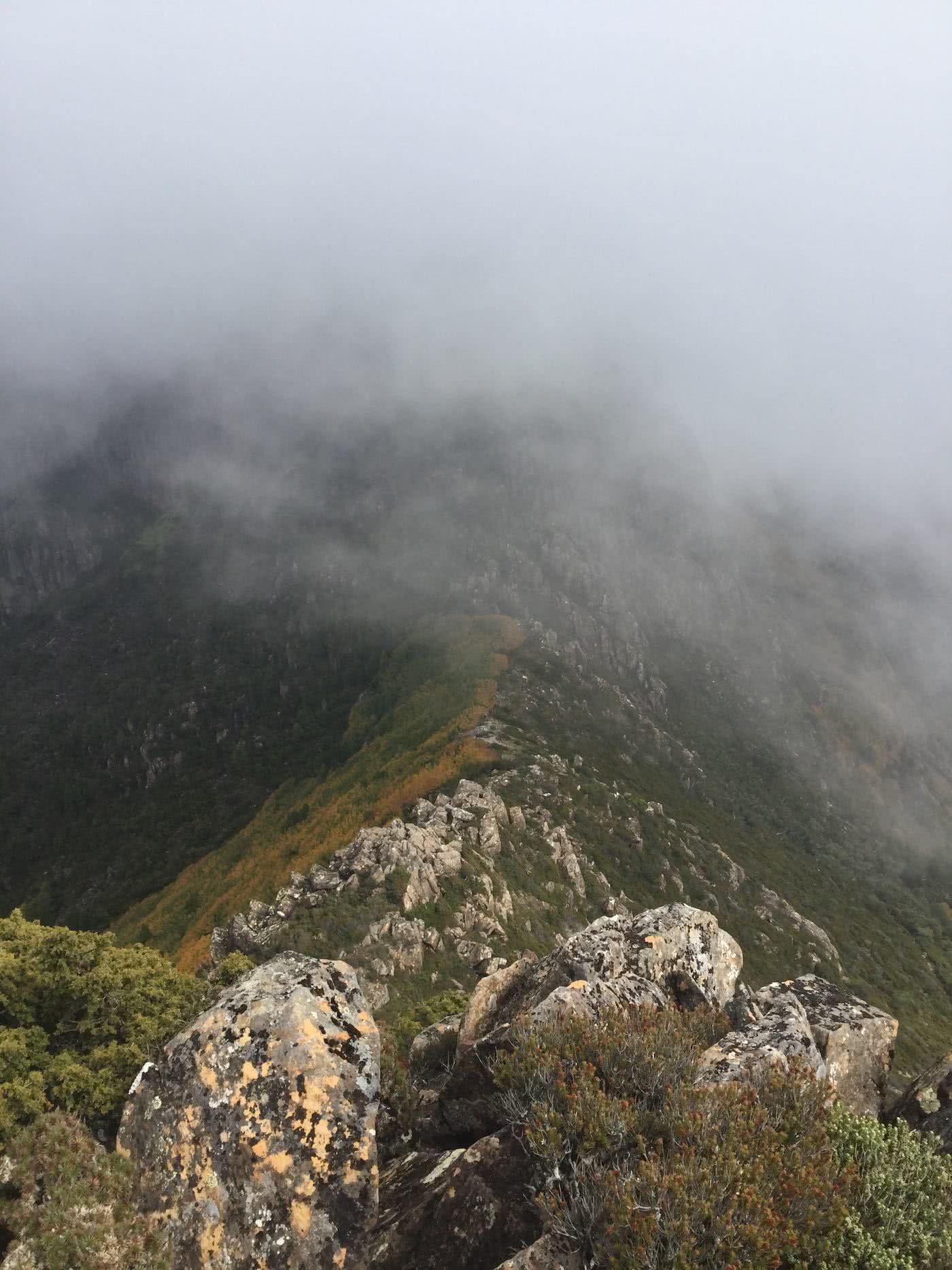 The Changing Of The Seasons // Cradle Mountain (TAS) Riley de Jong turning of the fagus, lake st clair, ridgeline