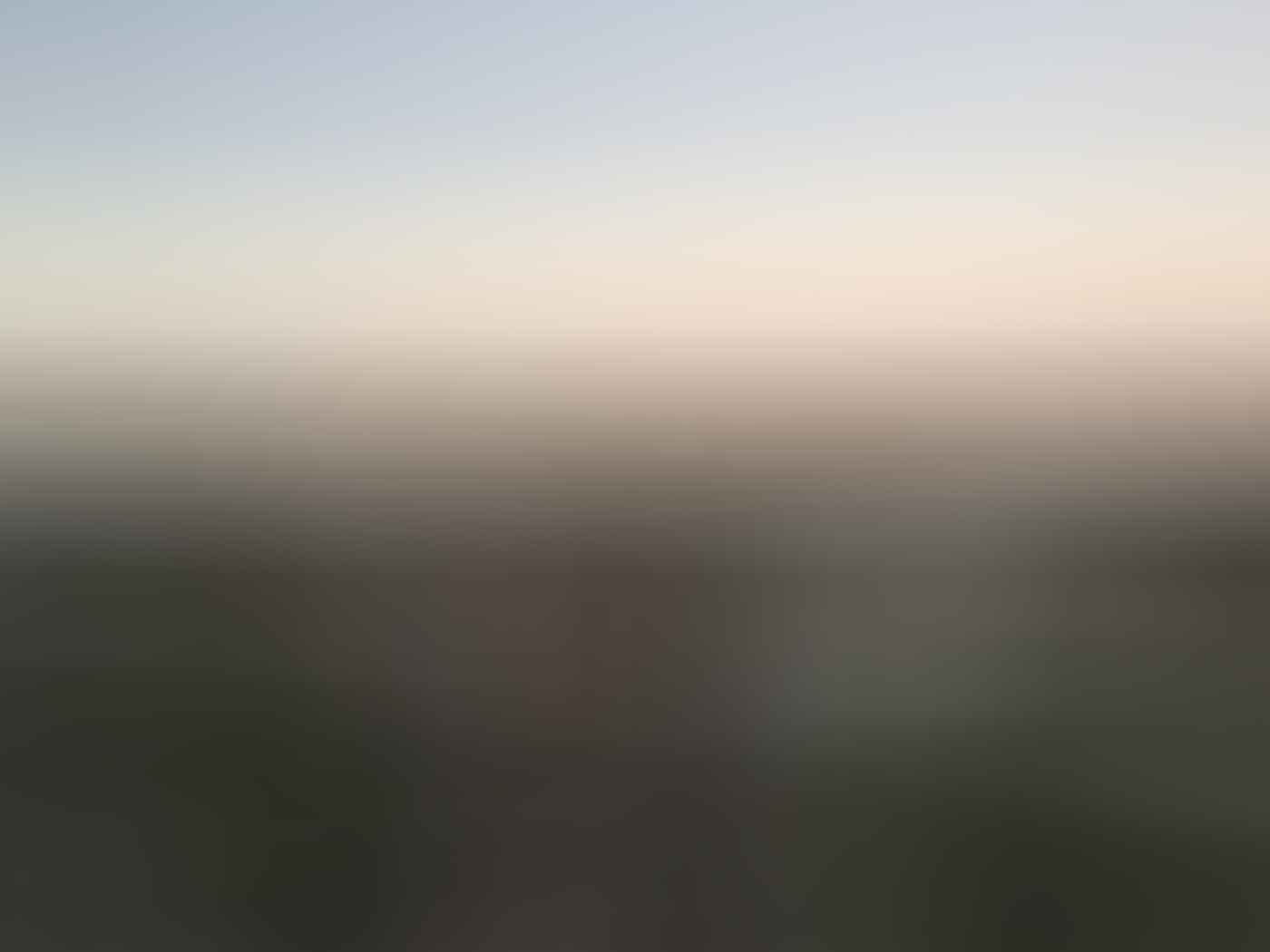 Highlights From Crossing The Nullarbor Plain Ashlee Kehoe-Sporton 4WD, camping, sunset, Cactus beach