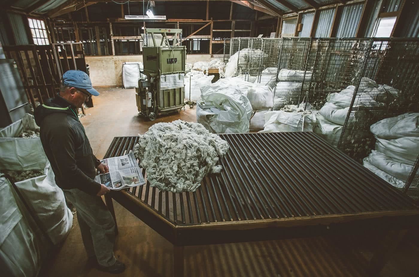 What's Life Like On A Wild South Island Merino Farm?, Photo by Joe Leep, merino, icebreaker, nz, lake heron station, wool