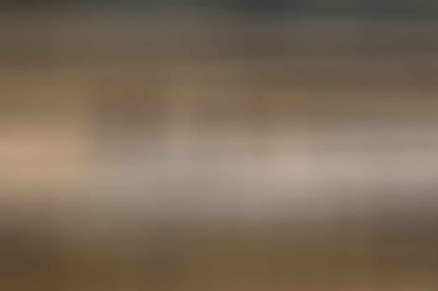 What's Life Like On A Wild South Island Merino Farm?, Photo by Joe Leep, merino, icebreaker, nz, lake heron station, sheep