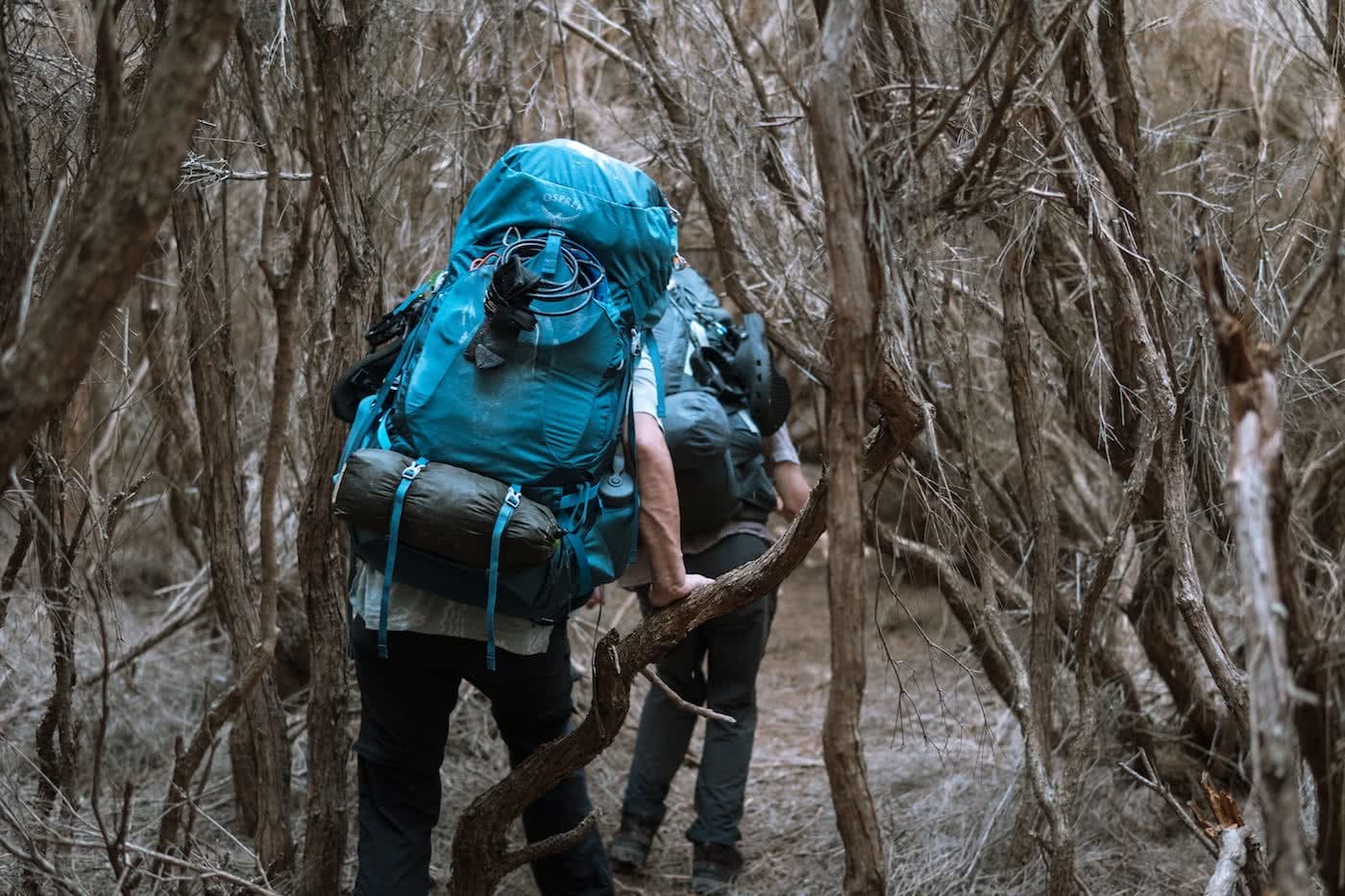 A Wilderness Surfari In Remote East Gippsland (VIC/NSW) by Jake, Sam and Georgia Doherty Osprey Adventure Grant, surf boards, forest, backpacks