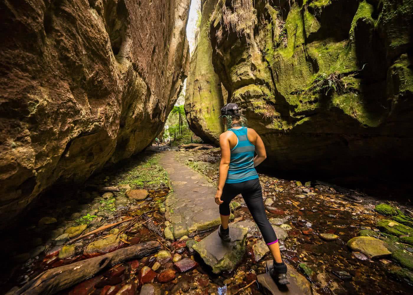 The Best Multi-day Hikes in Queensland Miranda_Fittock_Carnarvon gorge, hiking, 