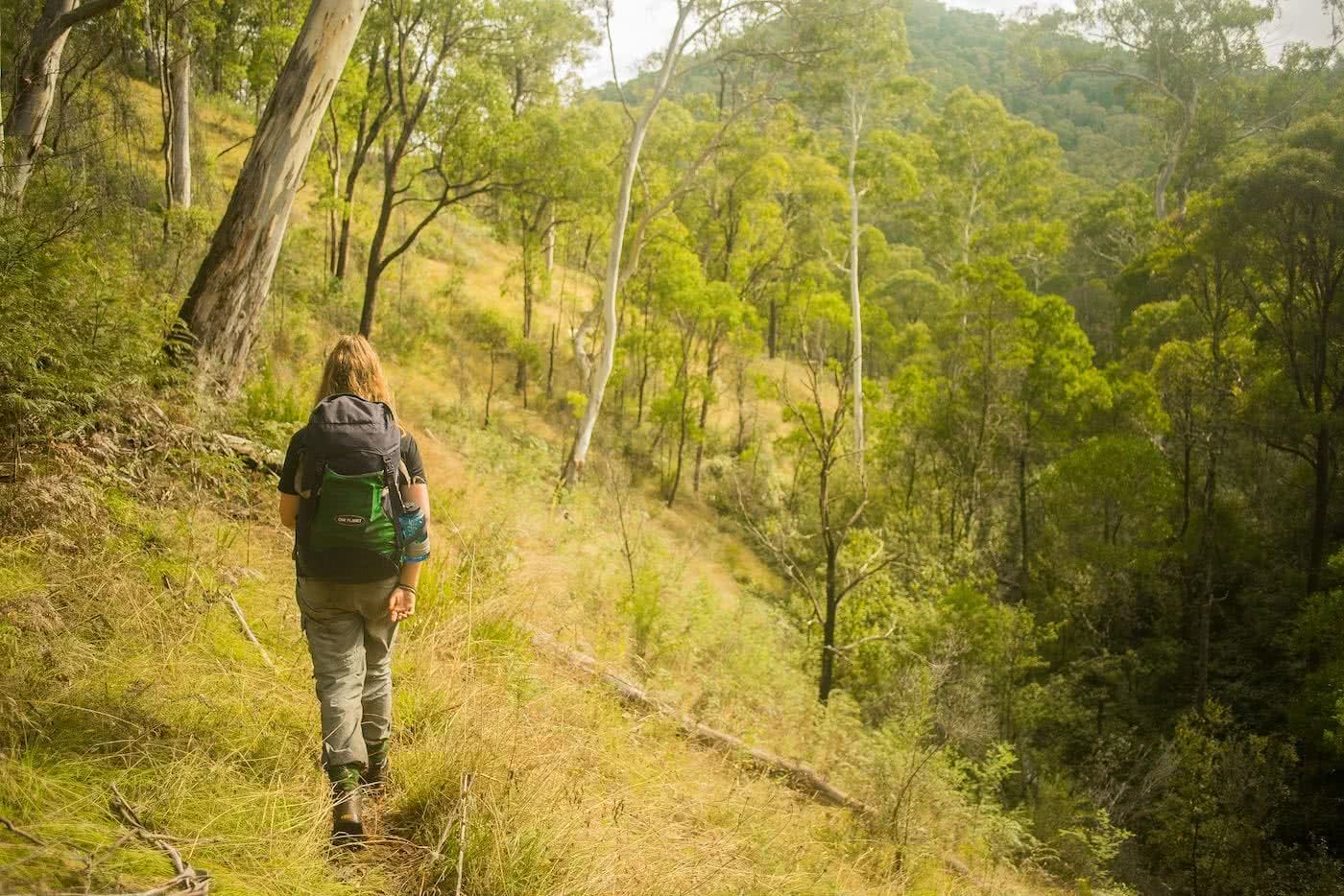 Knowing When To Call It by Lachie Thomas hiking, hiking trail 