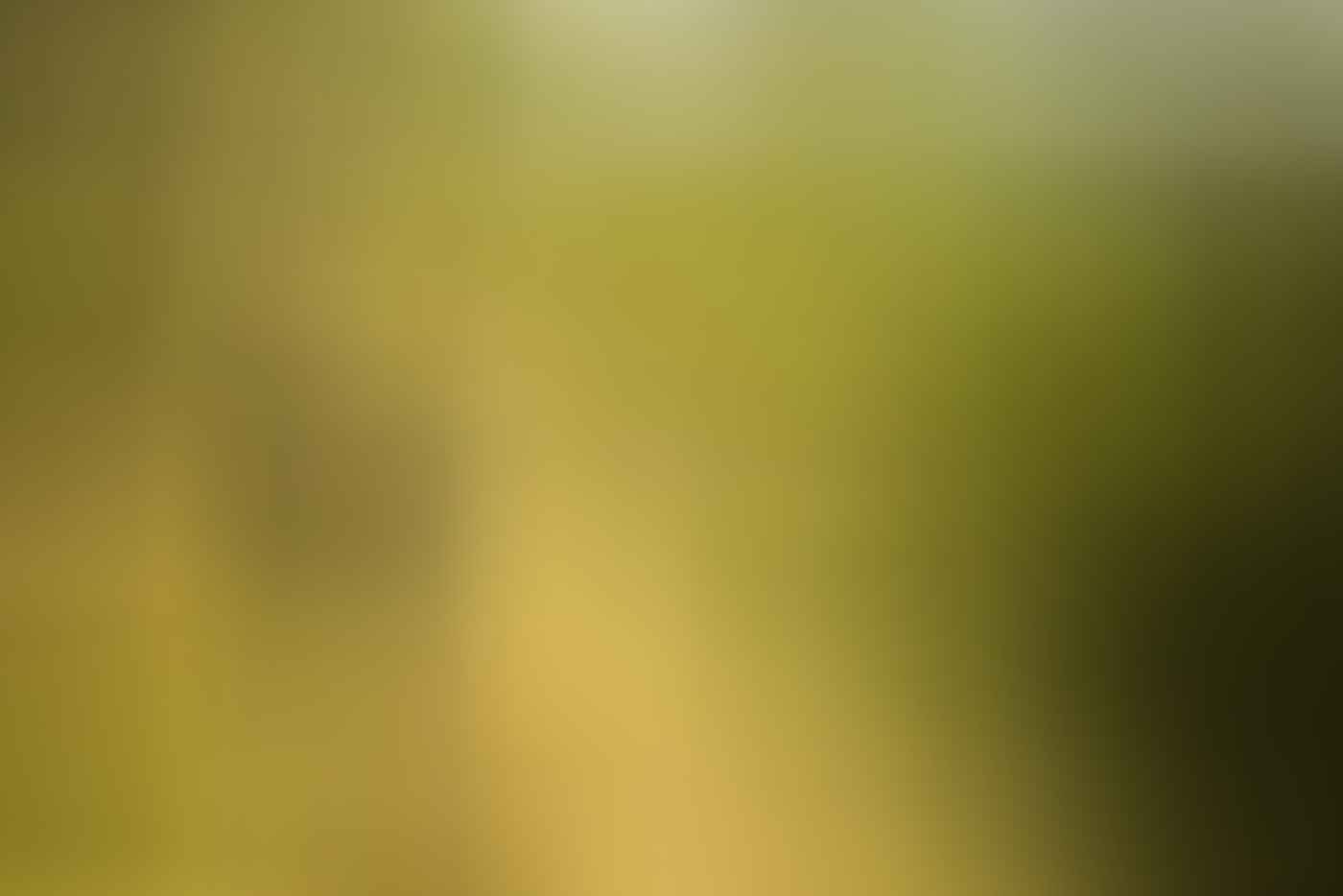 Knowing When To Call It by Lachie Thomas hiking, hiking trail 