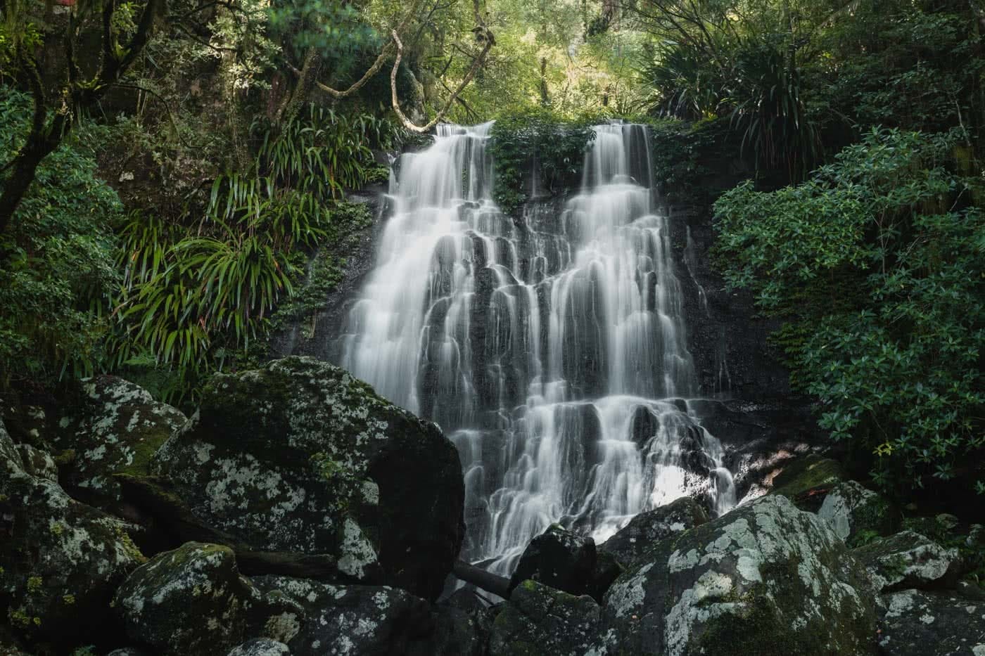 A Step Back In Time // Border Ranges National Park (NSW) by Conor Moore Selva Falls