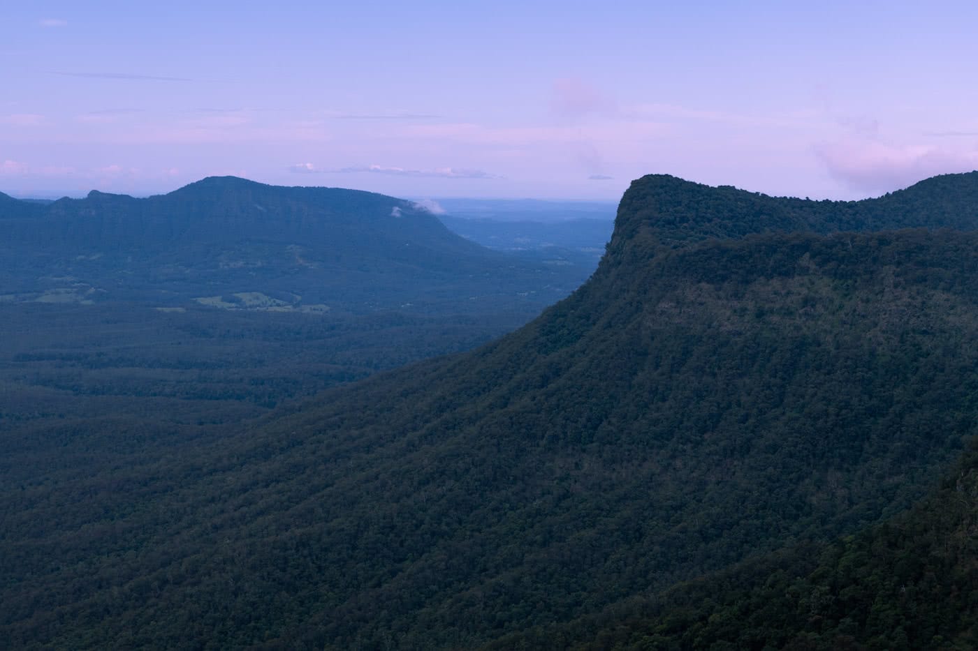 A Step Back In Time // Border Ranges National Park (NSW) by Conor Moore Pinnacle Lookout