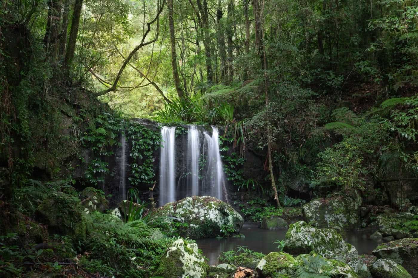 A Step Back In Time // Border Ranges National Park (NSW) by Conor Moore Swanson Falls